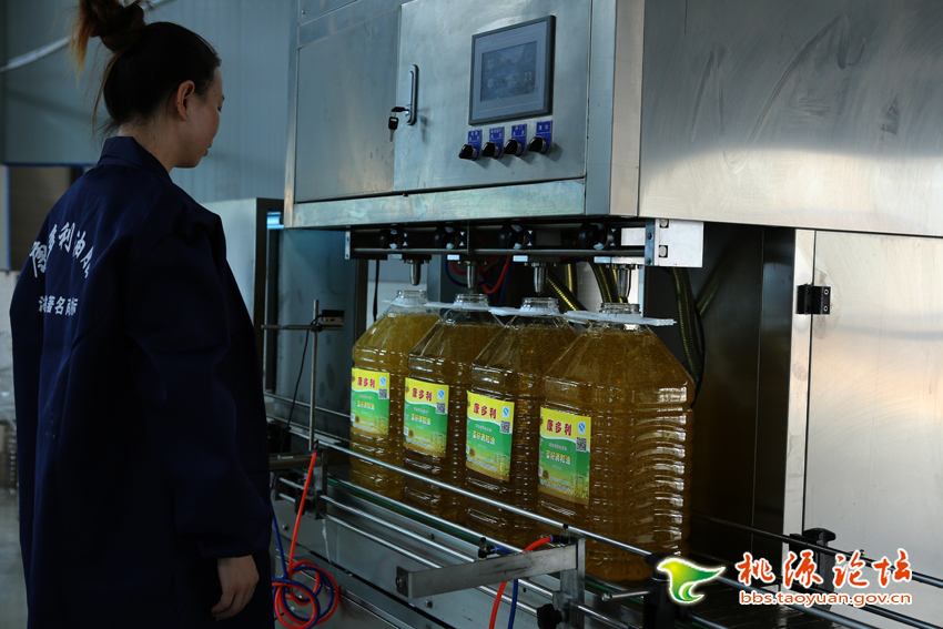 s36沙龙会,油茶莳植生产加工销售,植物油莳植生产加工销售