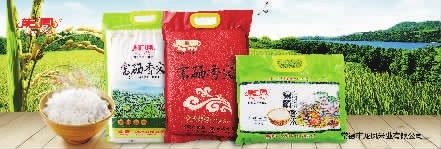 s36沙龙会,油茶莳植生产加工销售,植物油莳植生产加工销售