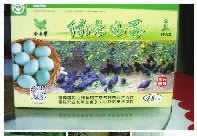 s36沙龙会,油茶莳植生产加工销售,植物油莳植生产加工销售