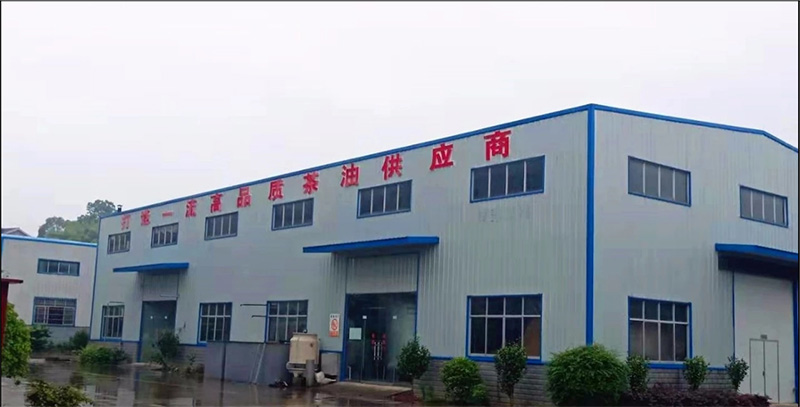 s36沙龙会 - 要玩就玩沙龙会